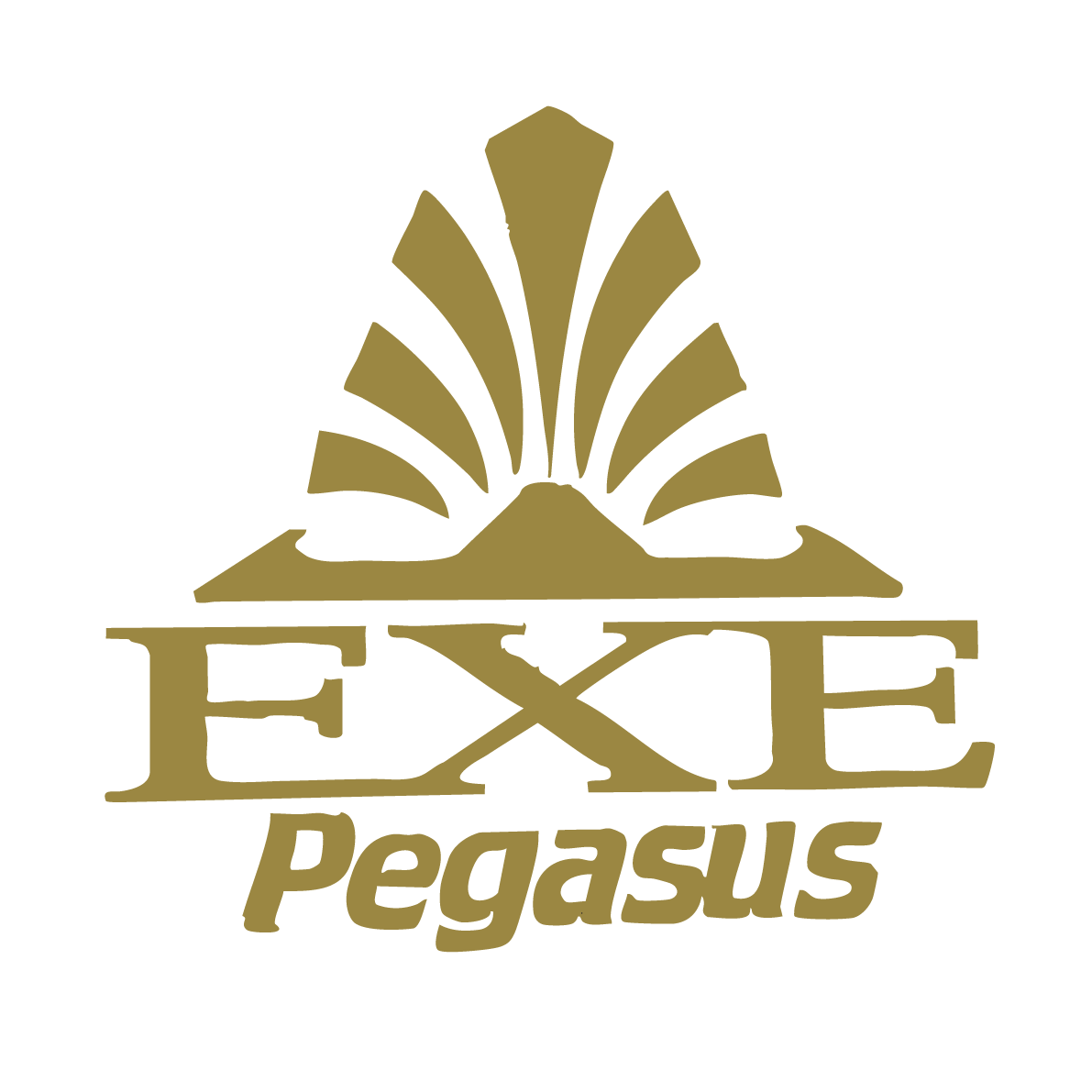 Exe Pegasus